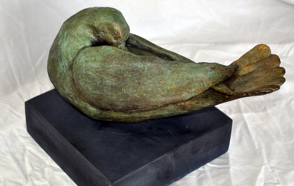 Blue Dove 1